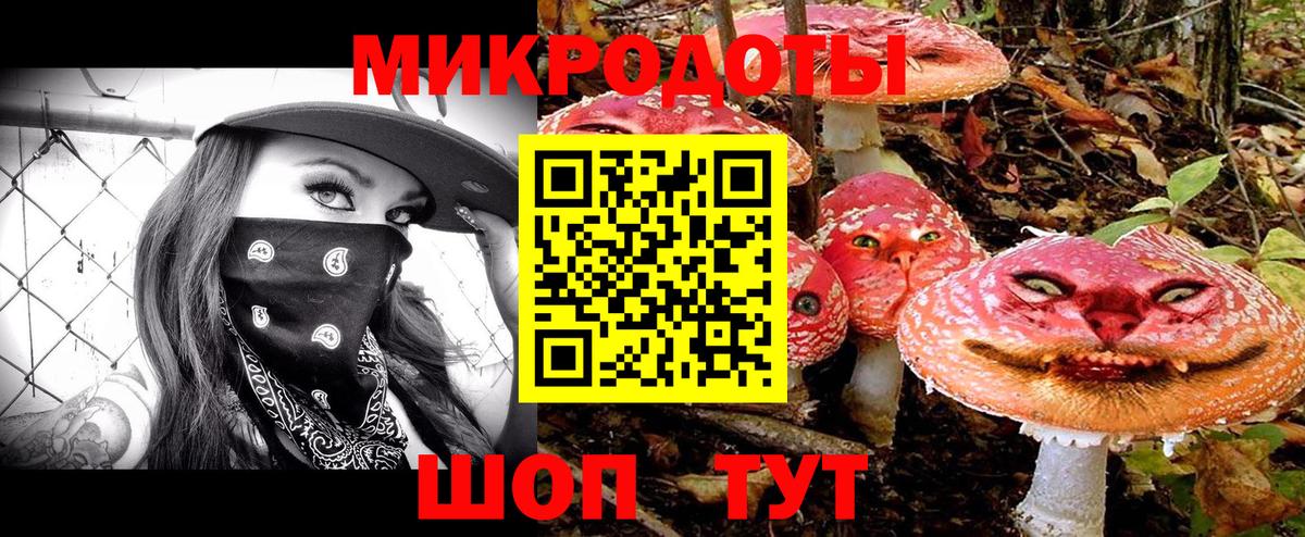 Галлюциногенные грибы Psilocybine cubensis  Вход с VPN  Щёлково 
