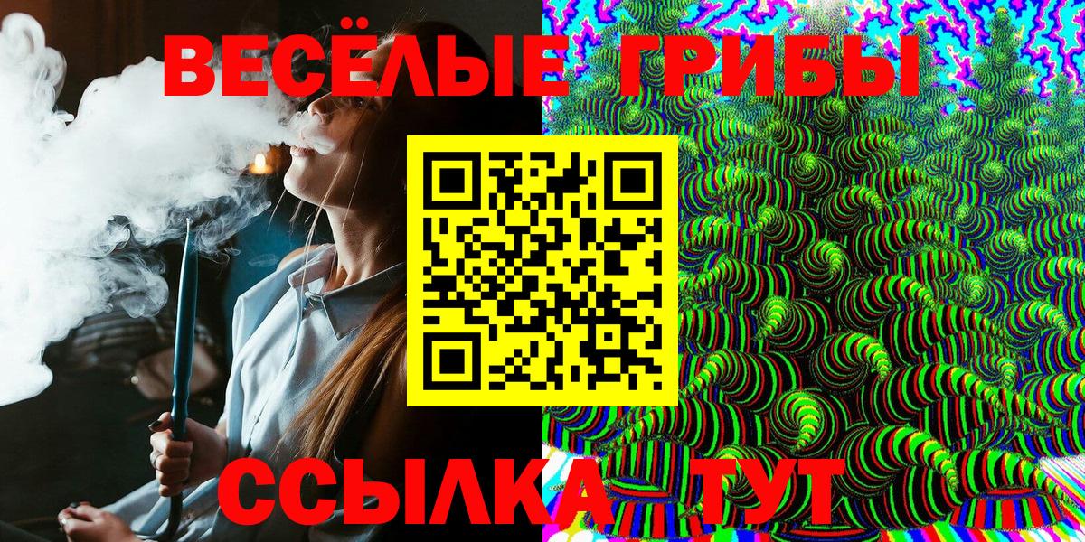 Галлюциногенные грибы Psilocybine cubensis Щёлково